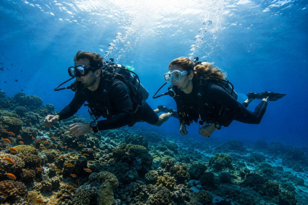 What to Take on a Diving Trip