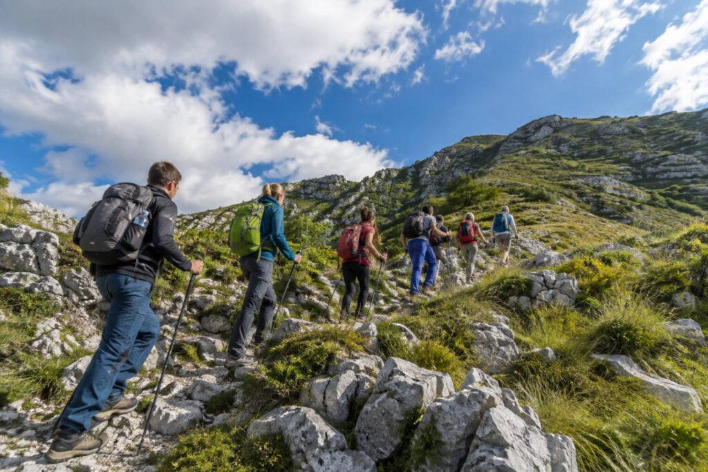 What to Take Hiking